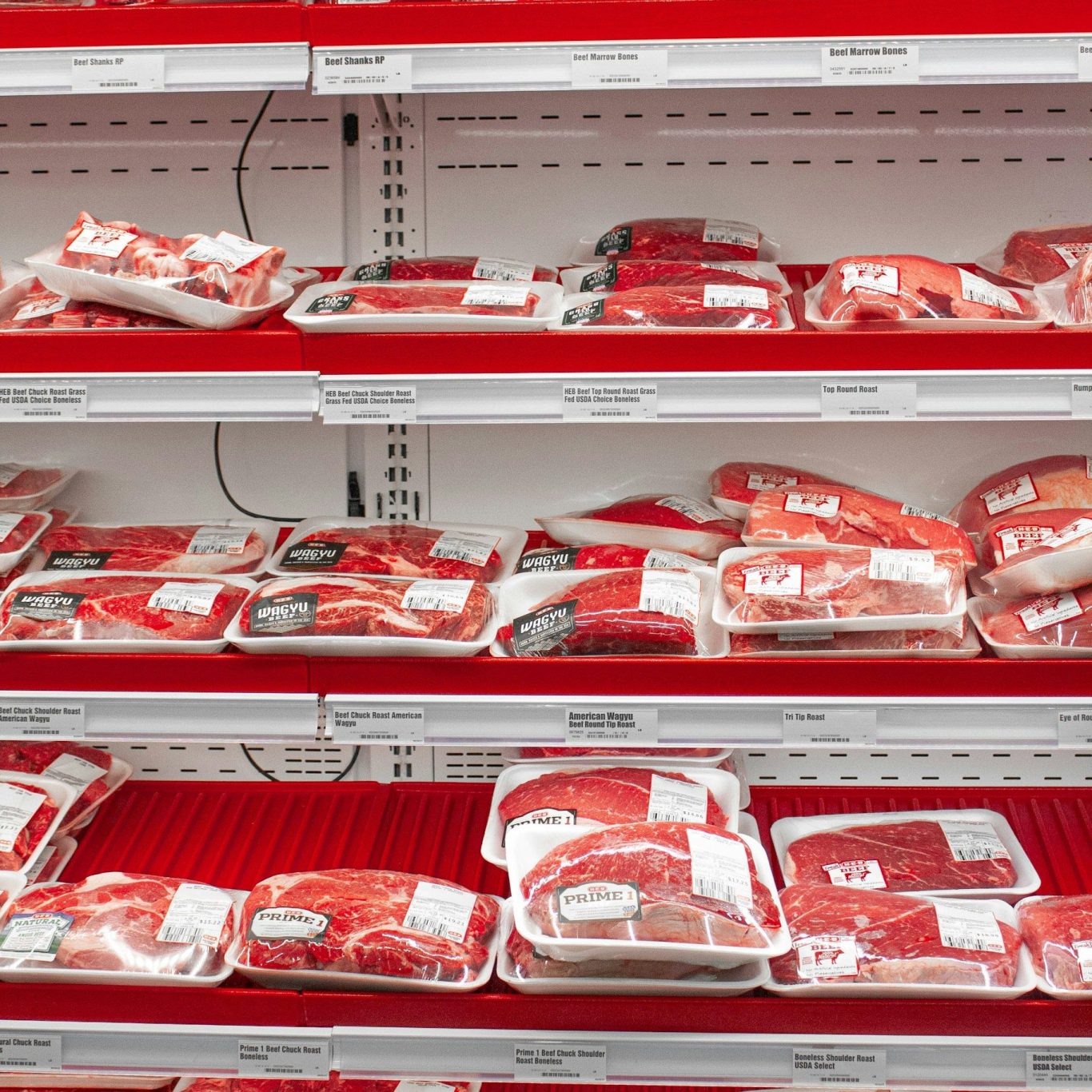 Hanging beef carcasses in chiller Hanging beef carcasses in chiller